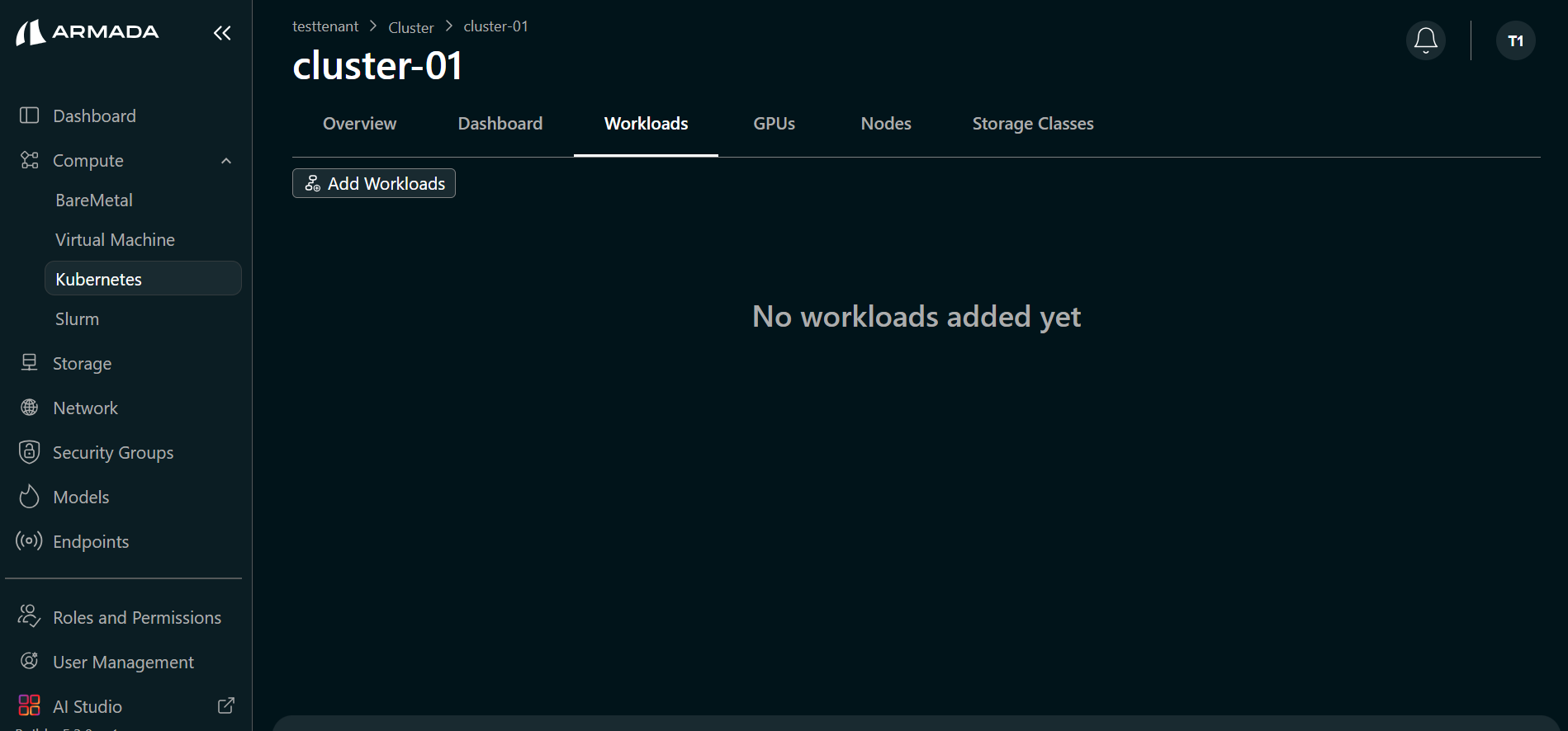Cluster Workloads