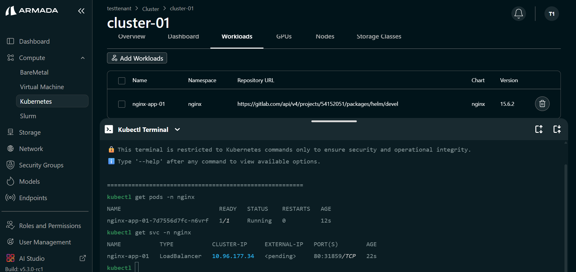 Workload K8s Terminal