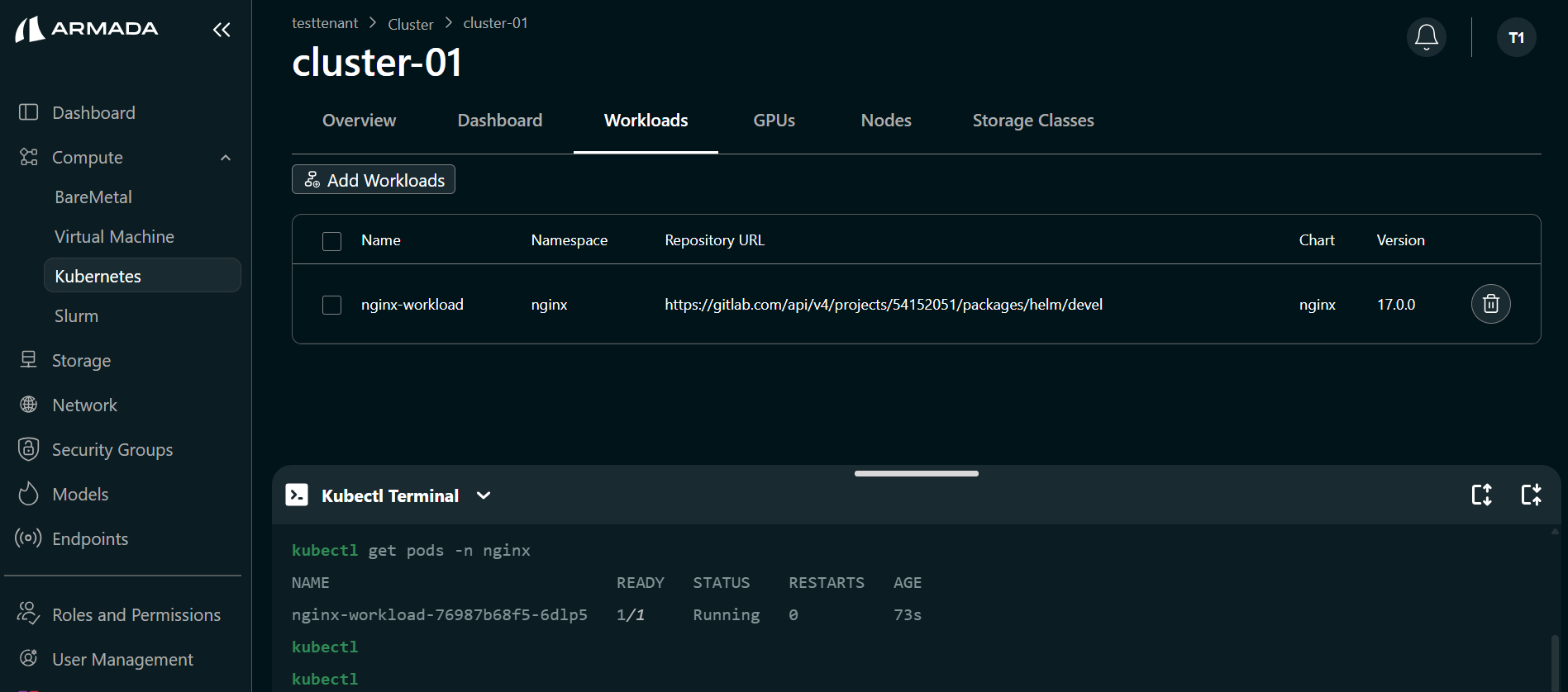 K8s Terminal