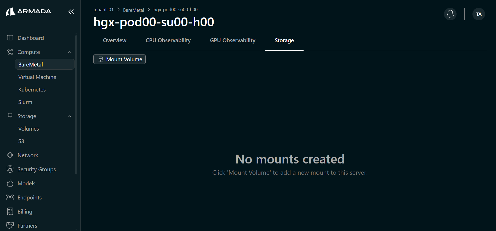 BareMetal Storage tab — no mounts