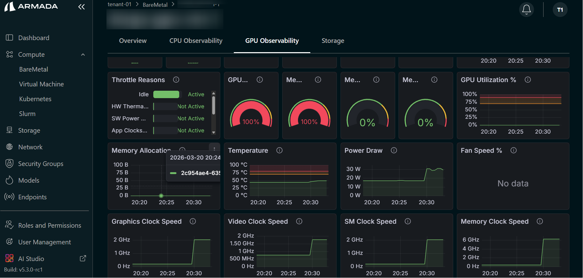 BM GPU Observability