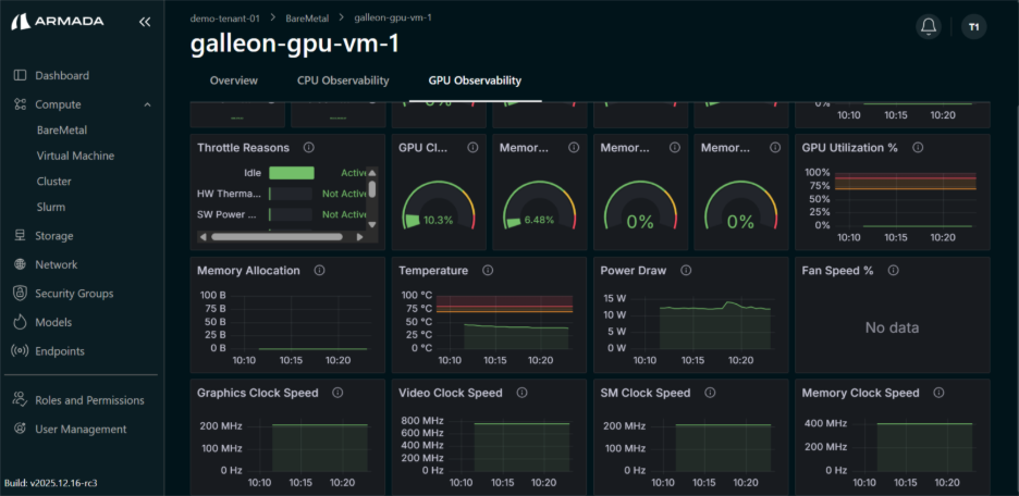 BM GPU Observability