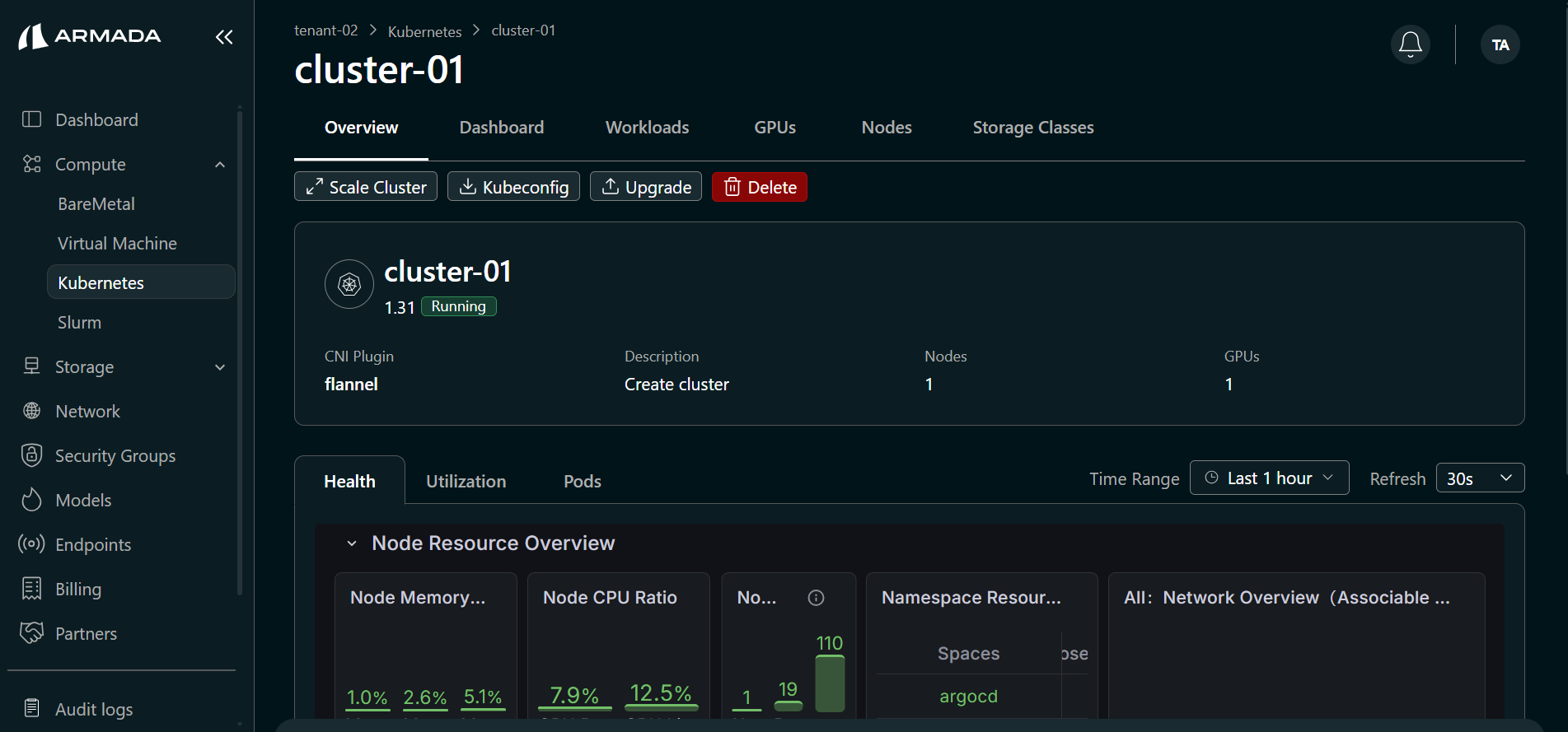 Cluster Overview