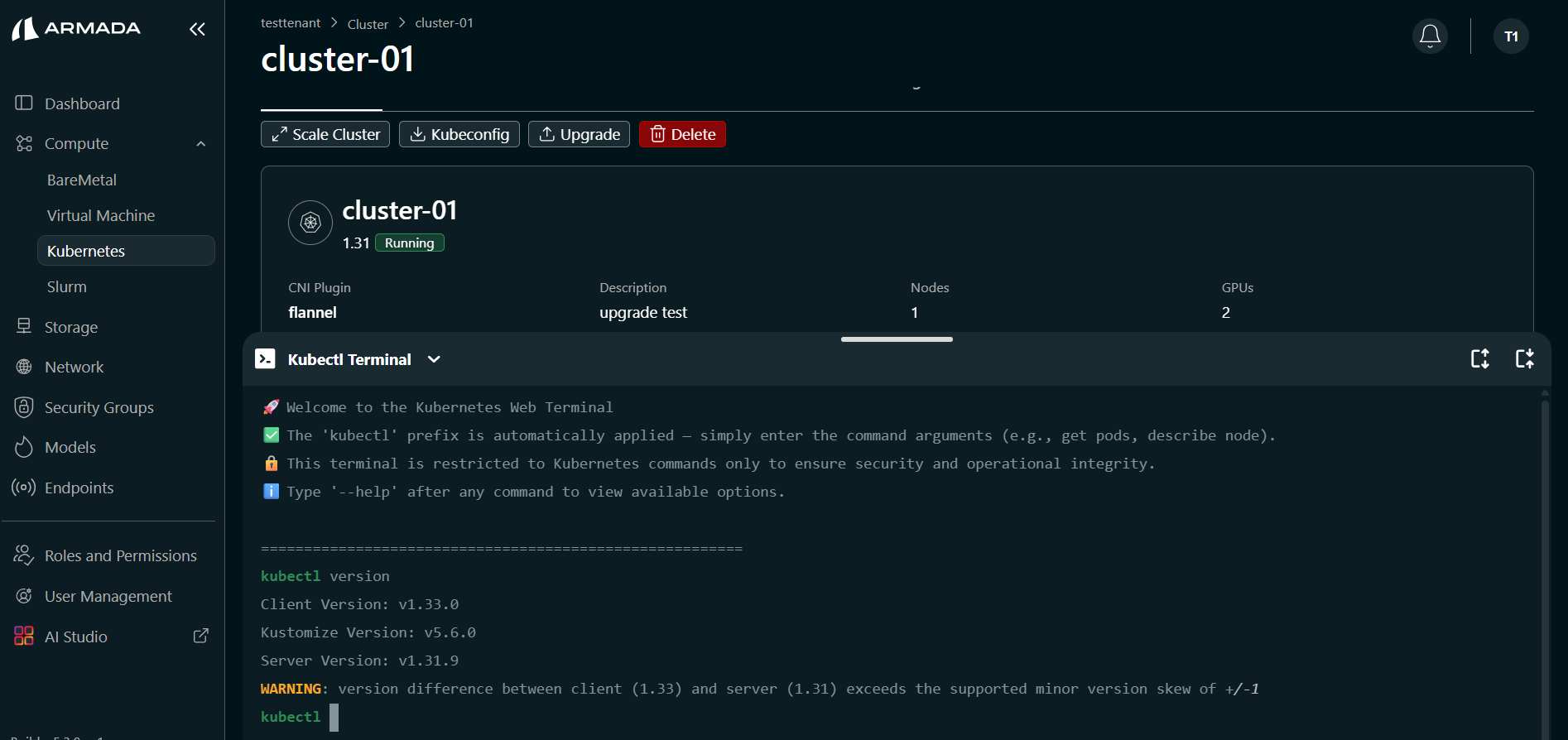 Kubernetes Version