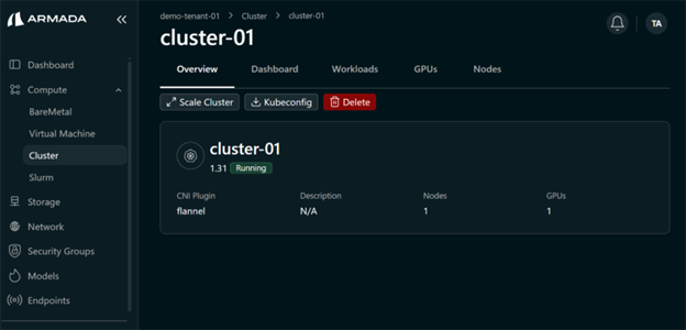 Cluster Overview