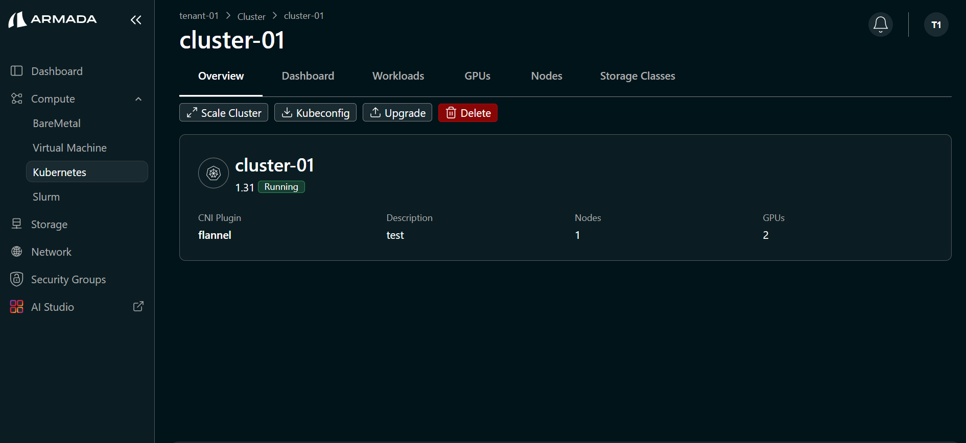 Cluster Overview