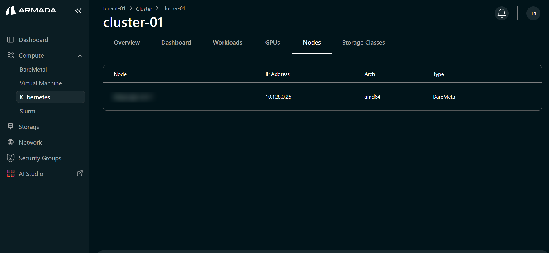 Cluster Nodes Details