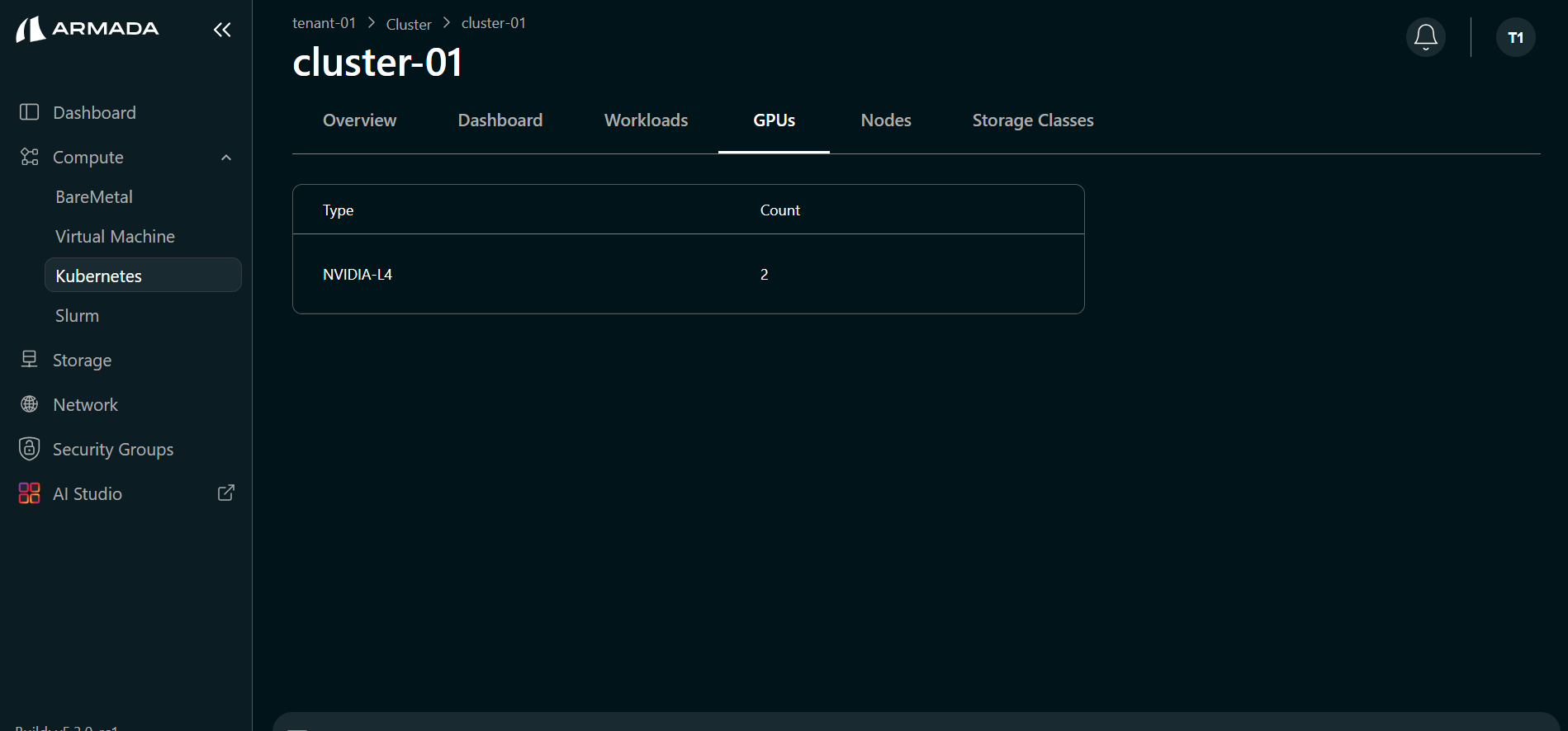 Cluster GPU Details