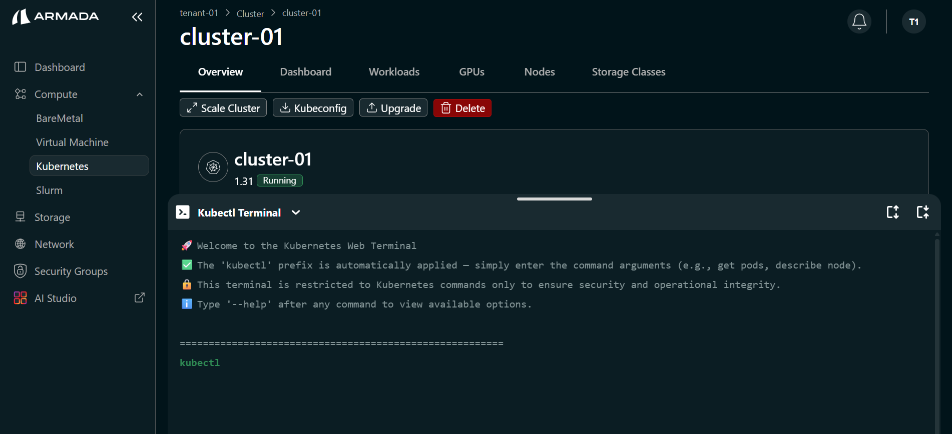 Cluster K8s Terminal