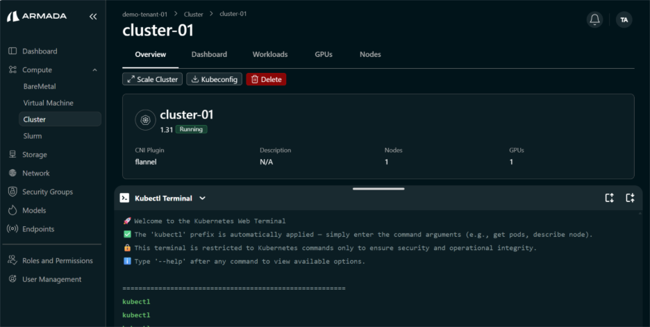 Cluster K8s Terminal