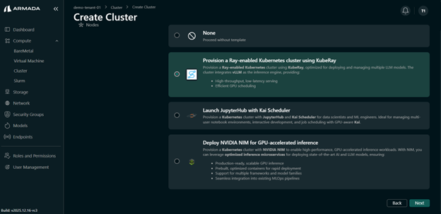 Cluster Template