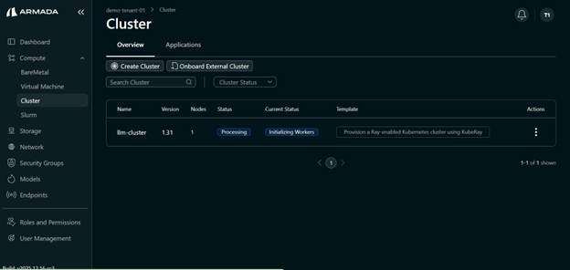 Cluster Initialize State