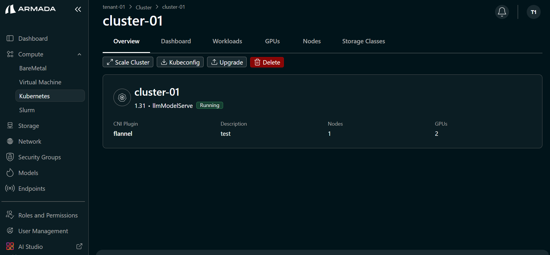 Cluster Overview
