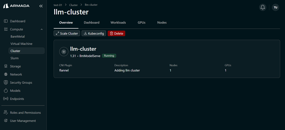 Cluster Overview