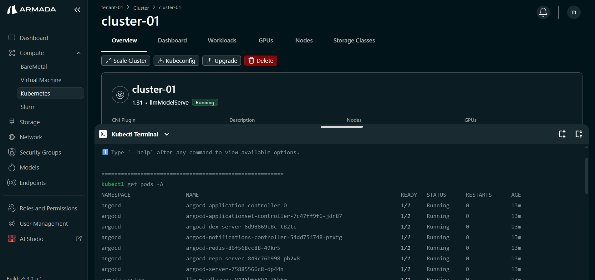 Cluster K8s Terminal