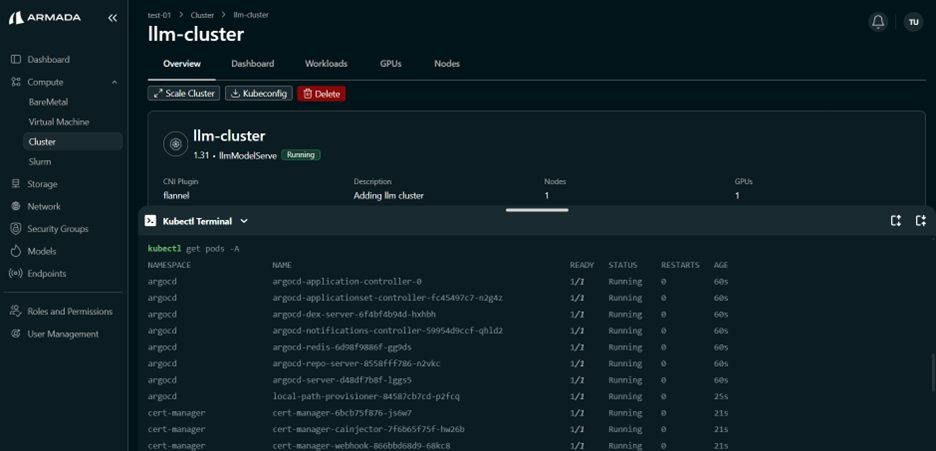 Cluster K8s Terminal