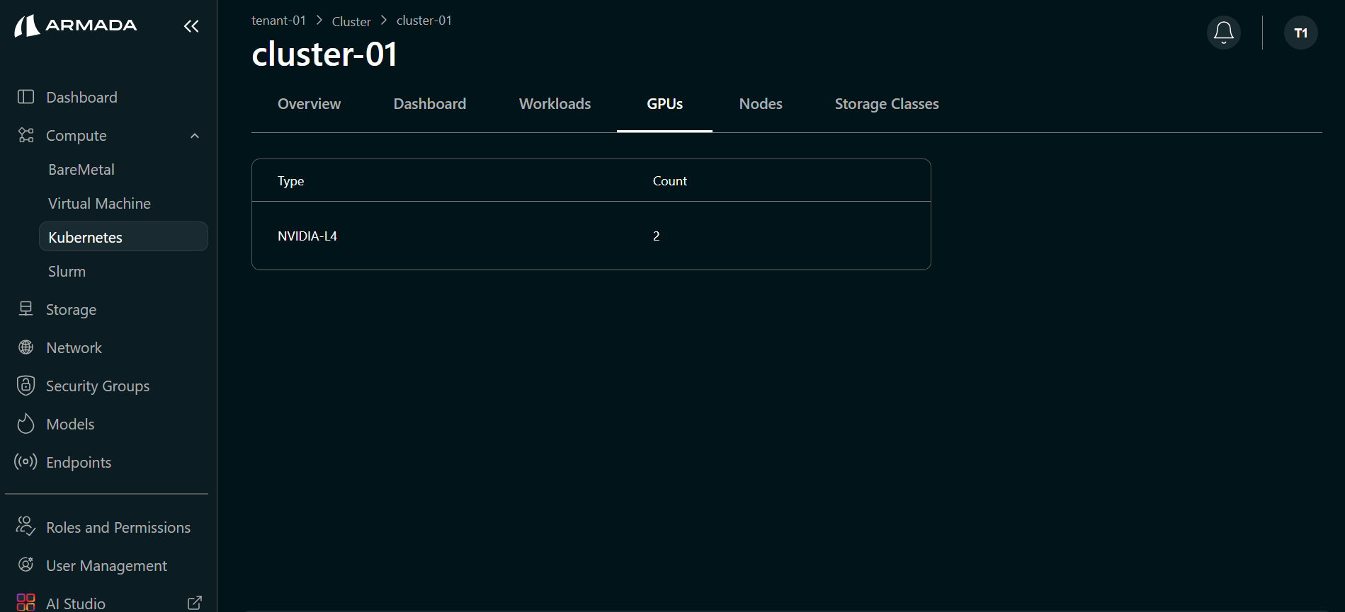 Cluster Overview