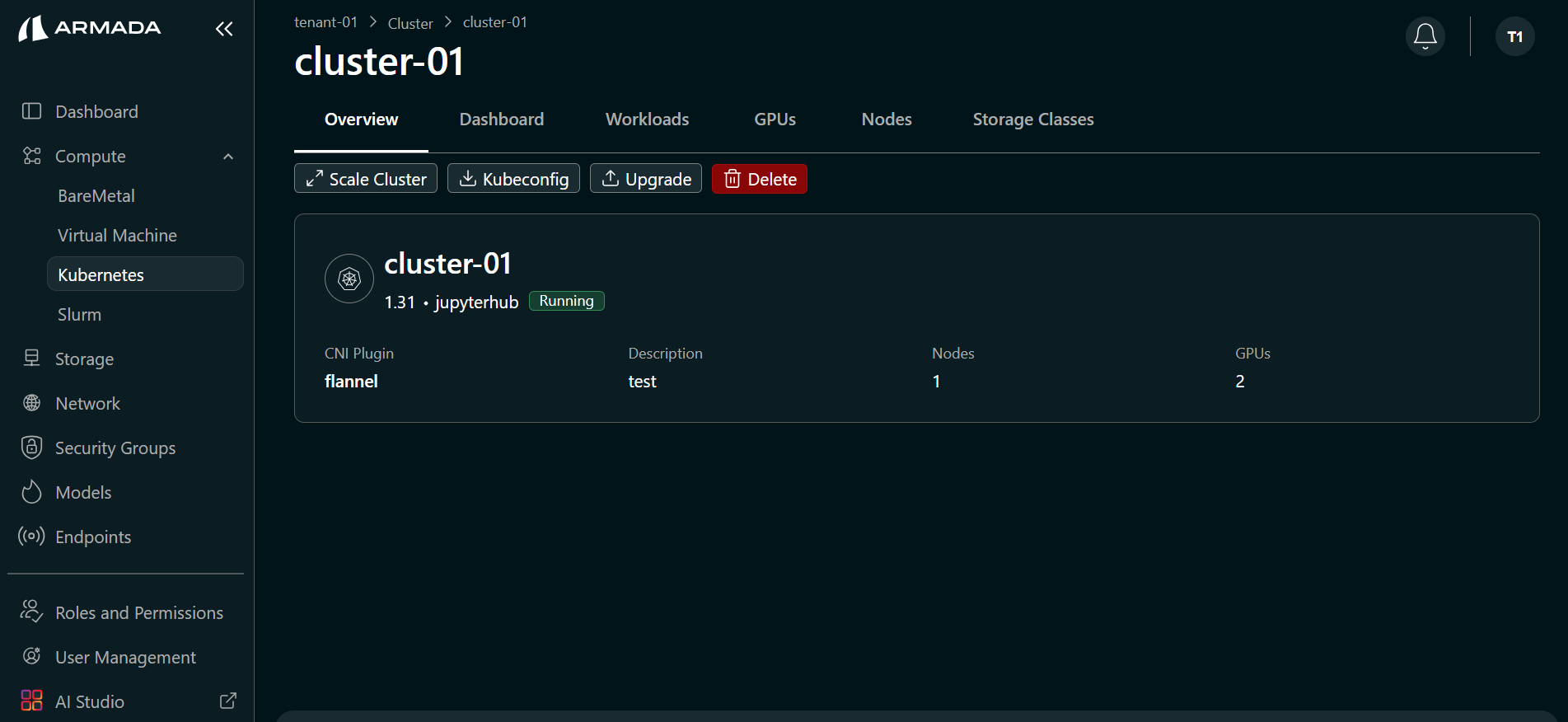 Cluster Overview