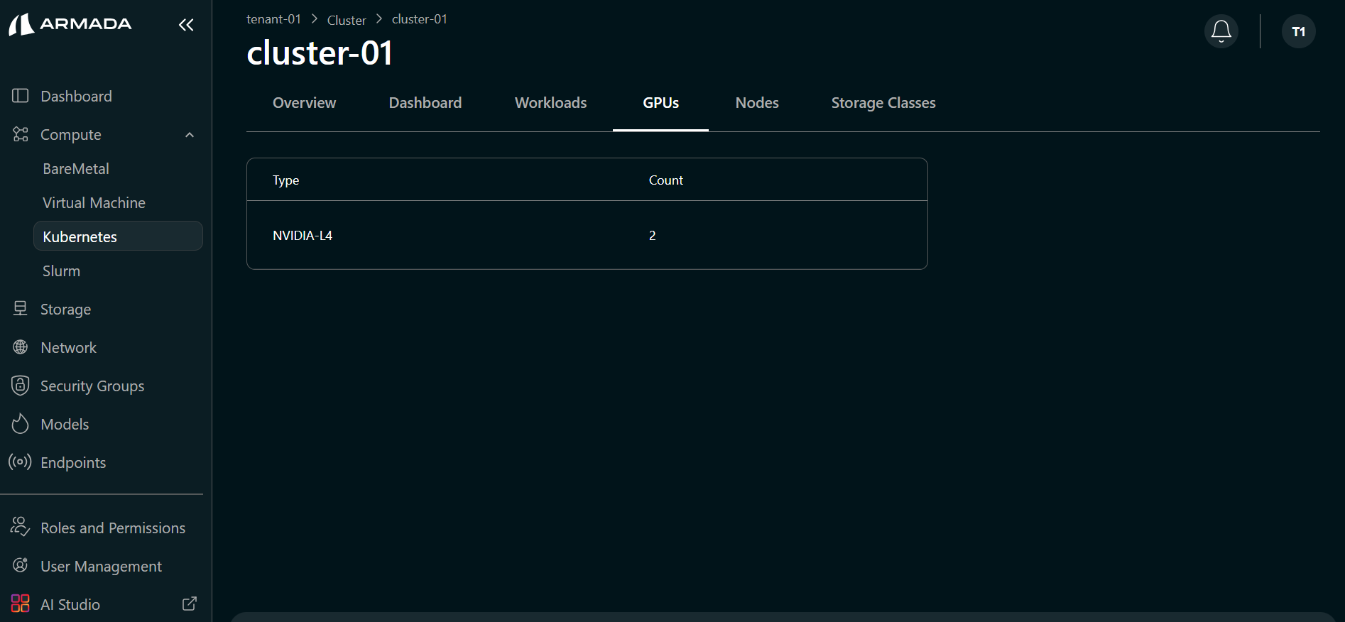 Cluster GPU Details