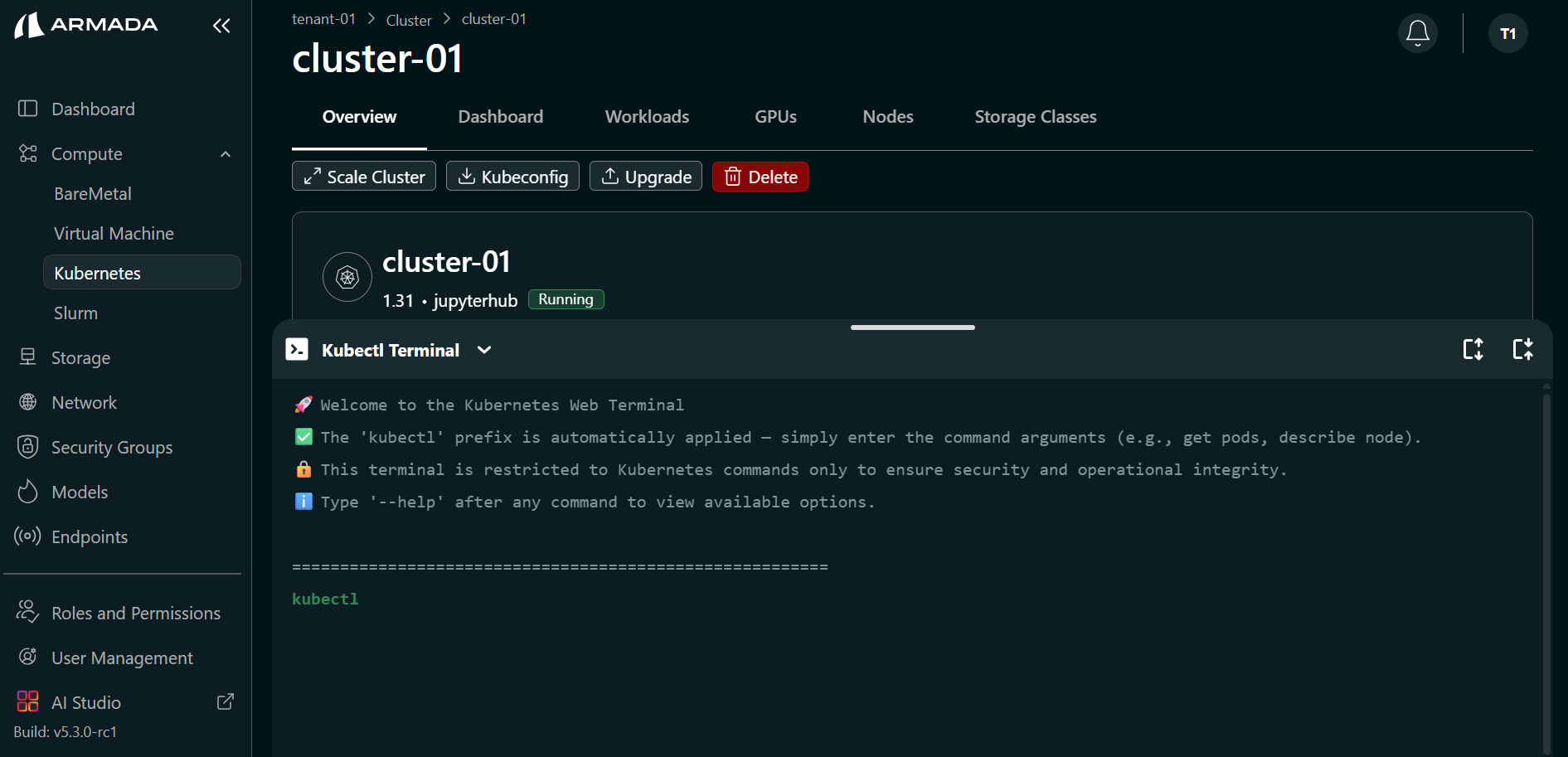 Cluster K8s Terminal