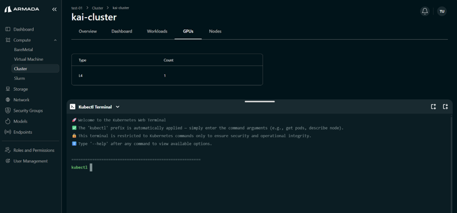 Cluster K8s Terminal