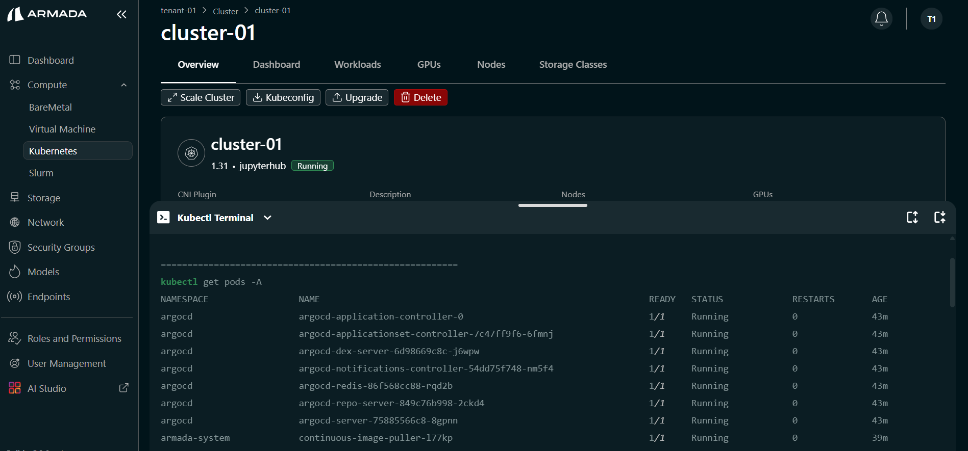 Cluster K8s Command