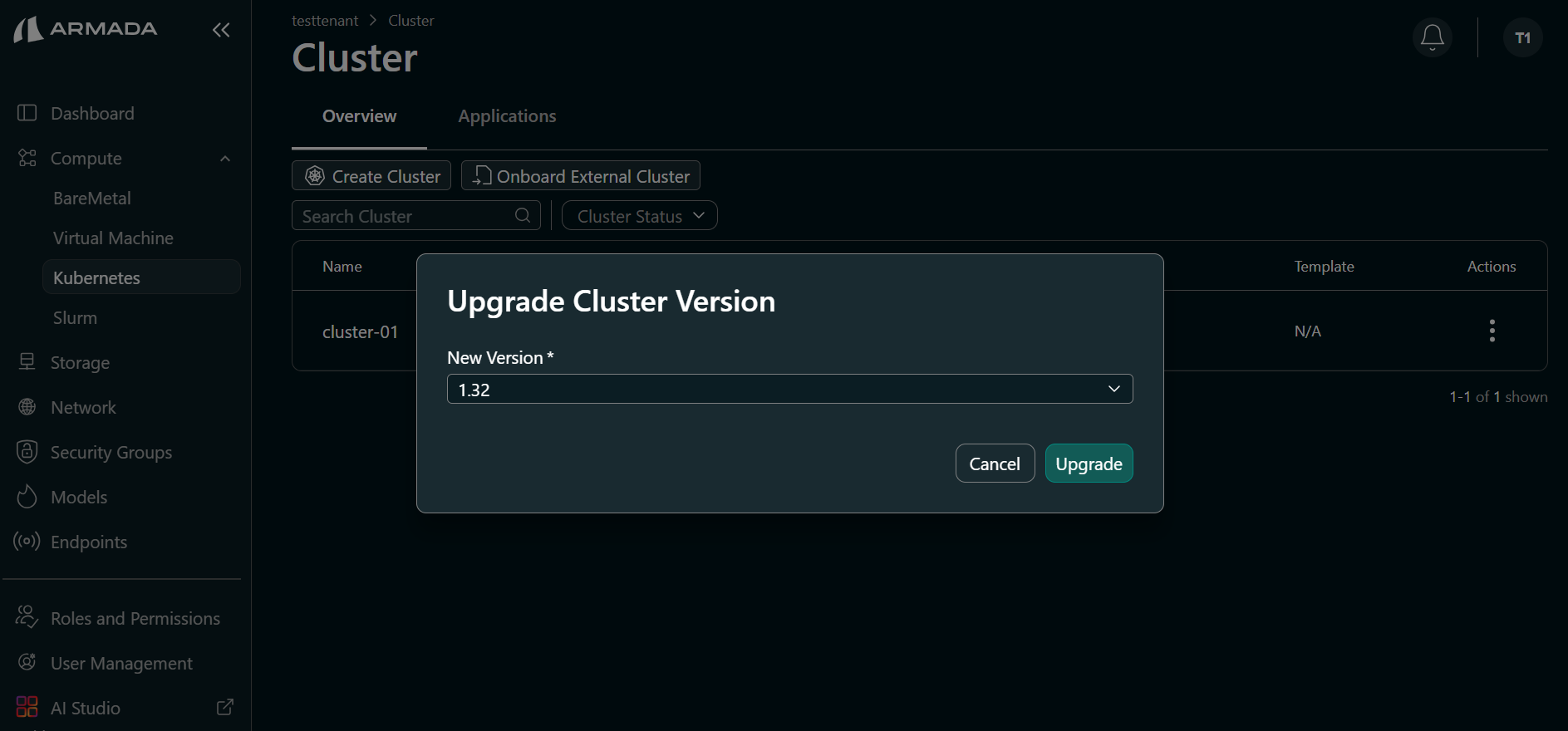 Cluster Upgrade Version