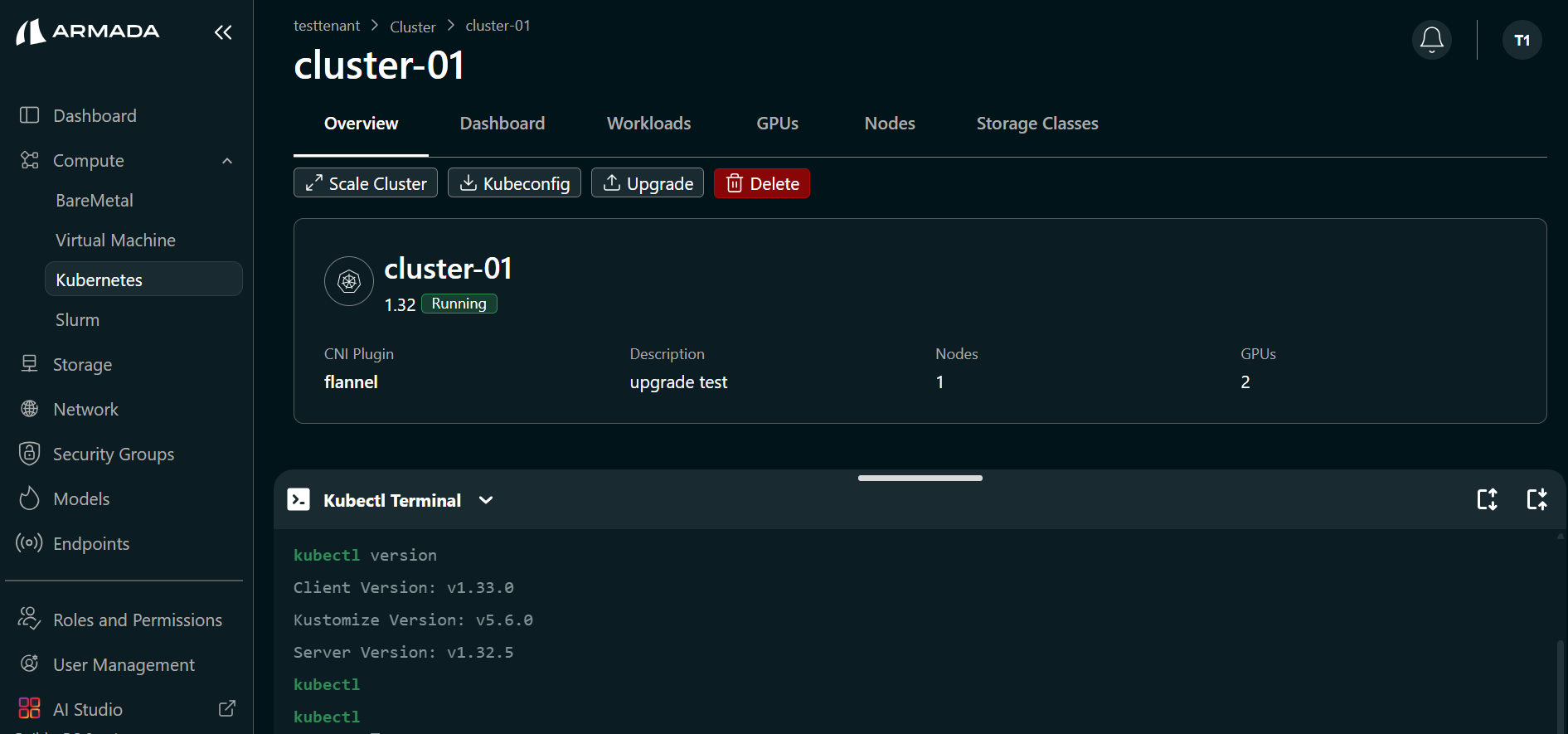 Cluster Upgrade K8S Terminal