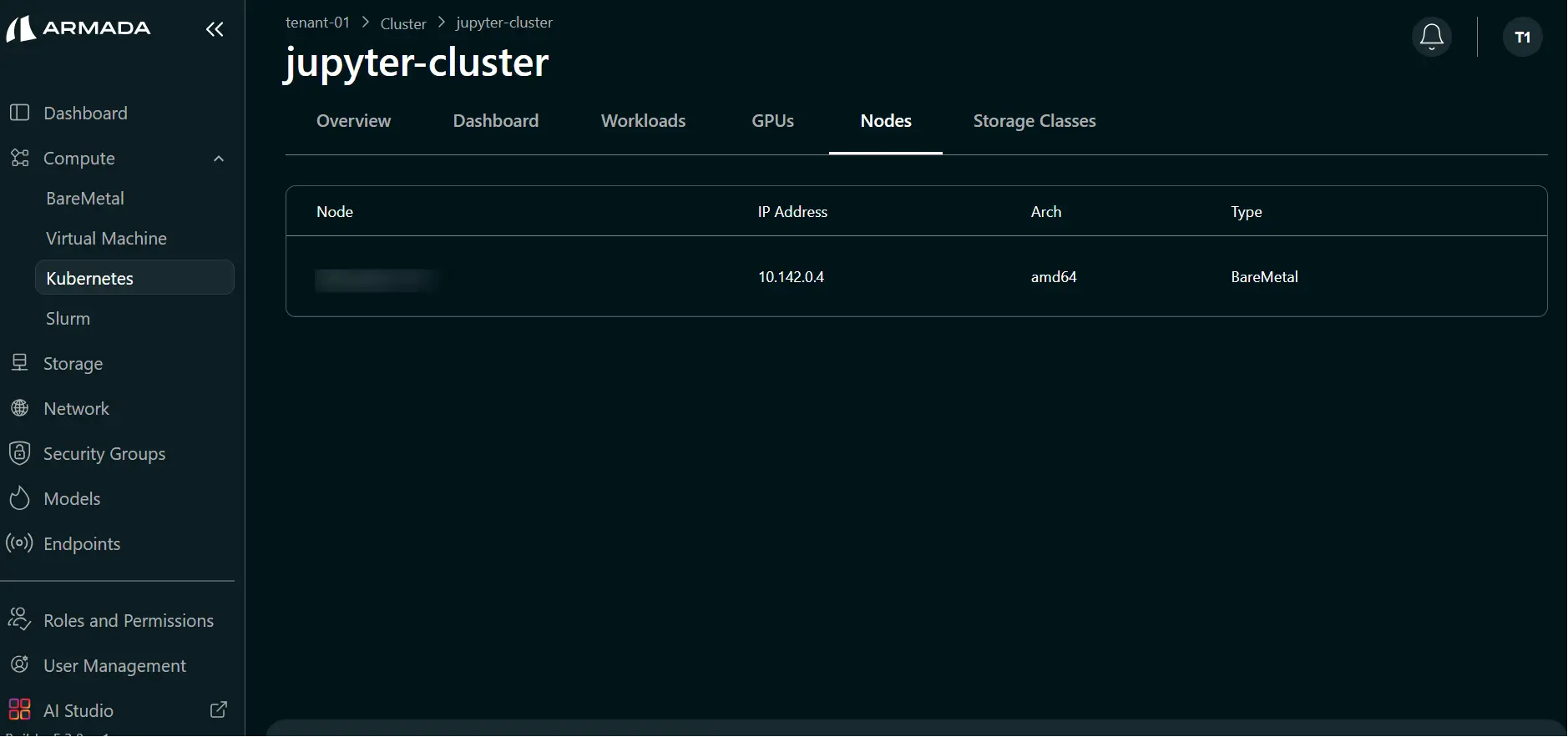 Cluster Nodes