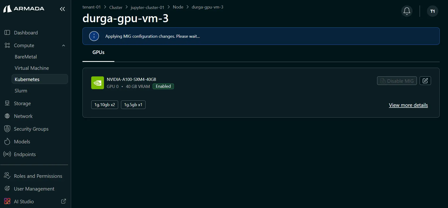 Cluster MIG Process State
