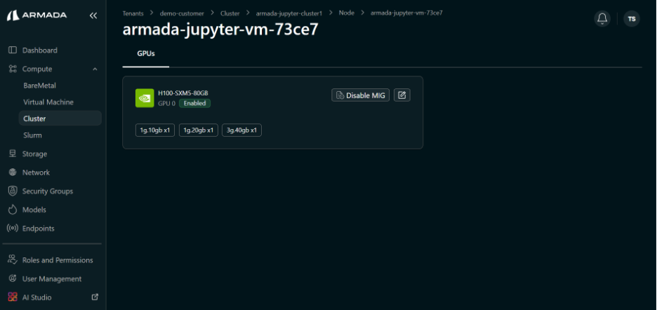 Cluster MIG Success State