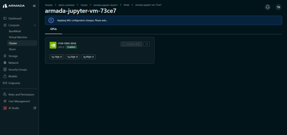 Cluster MIG Process State