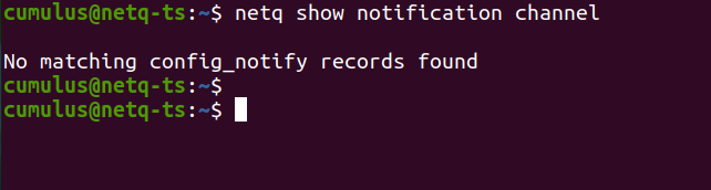 Deboard NetQ — channel removed