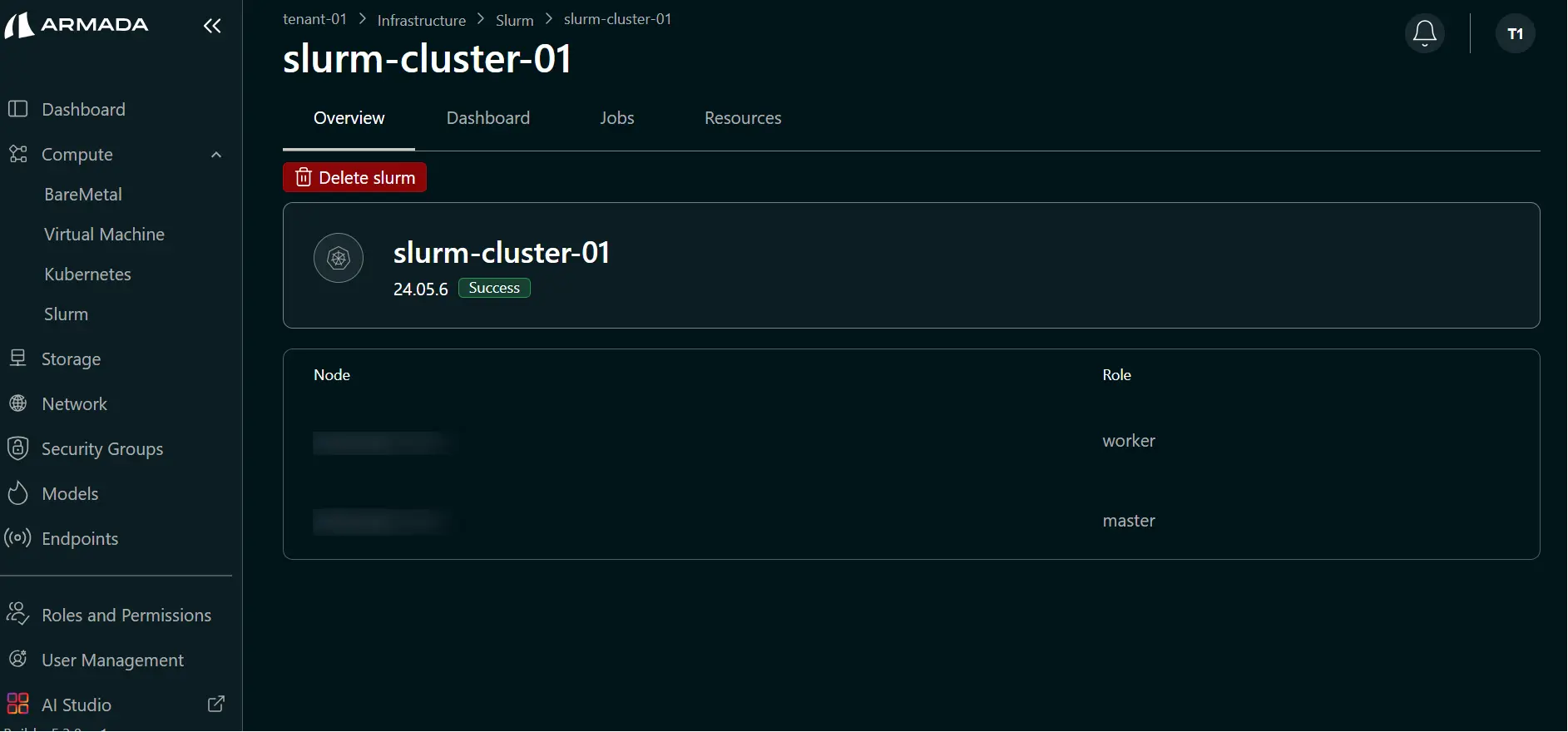 View Slurm Nodes Details