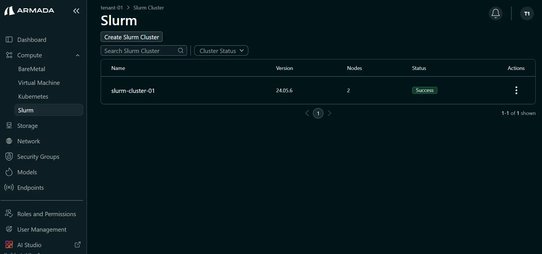 Success Slurm Cluster