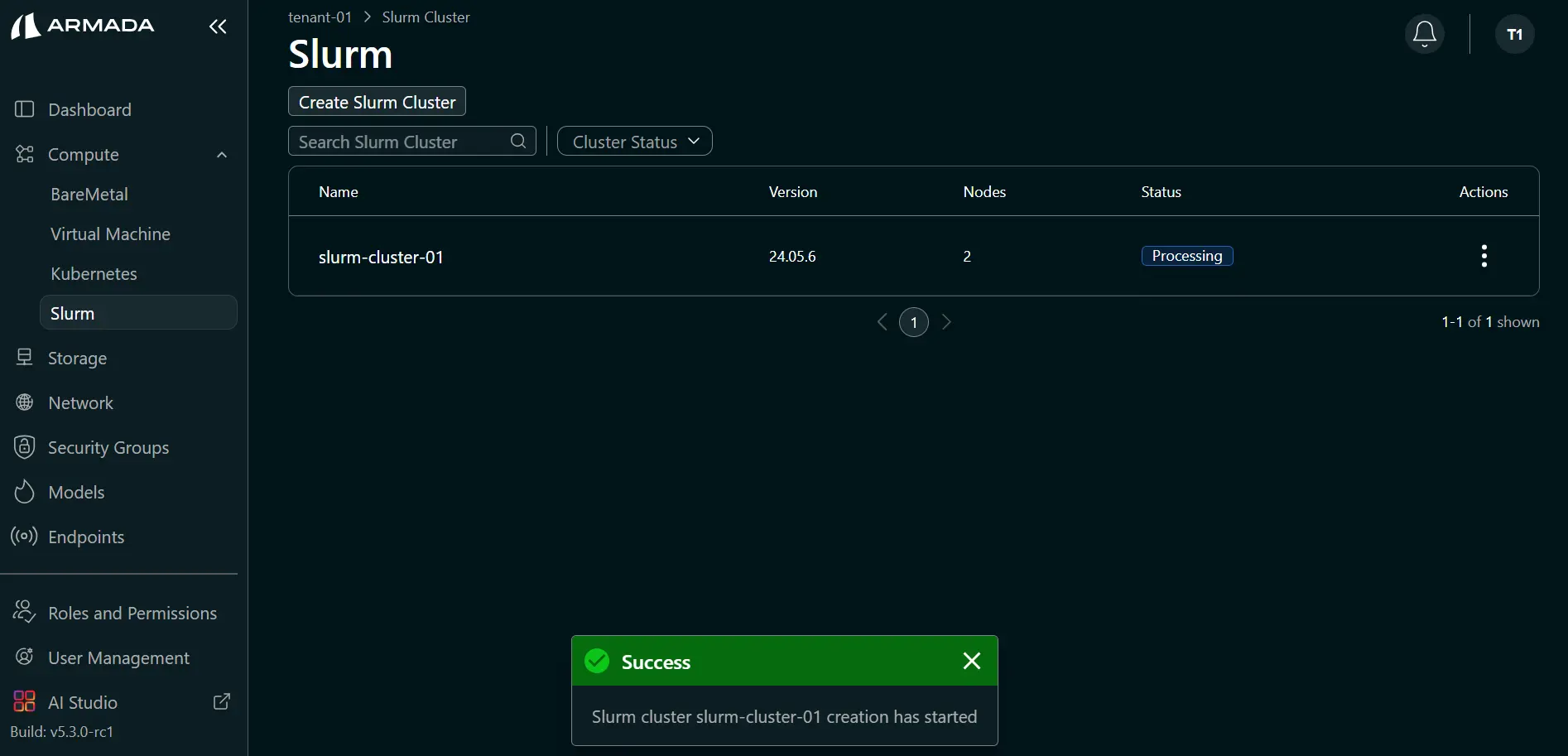 Processing Slurm Cluster