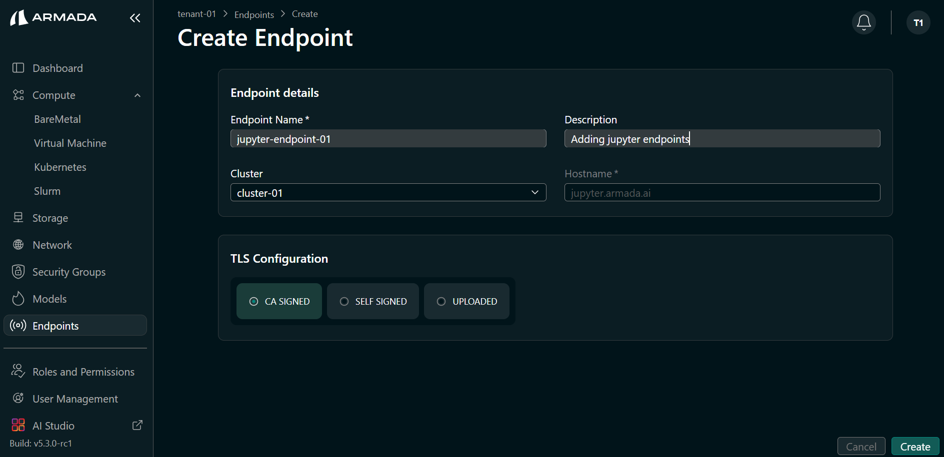 JupyterHub Endpoint Configuration