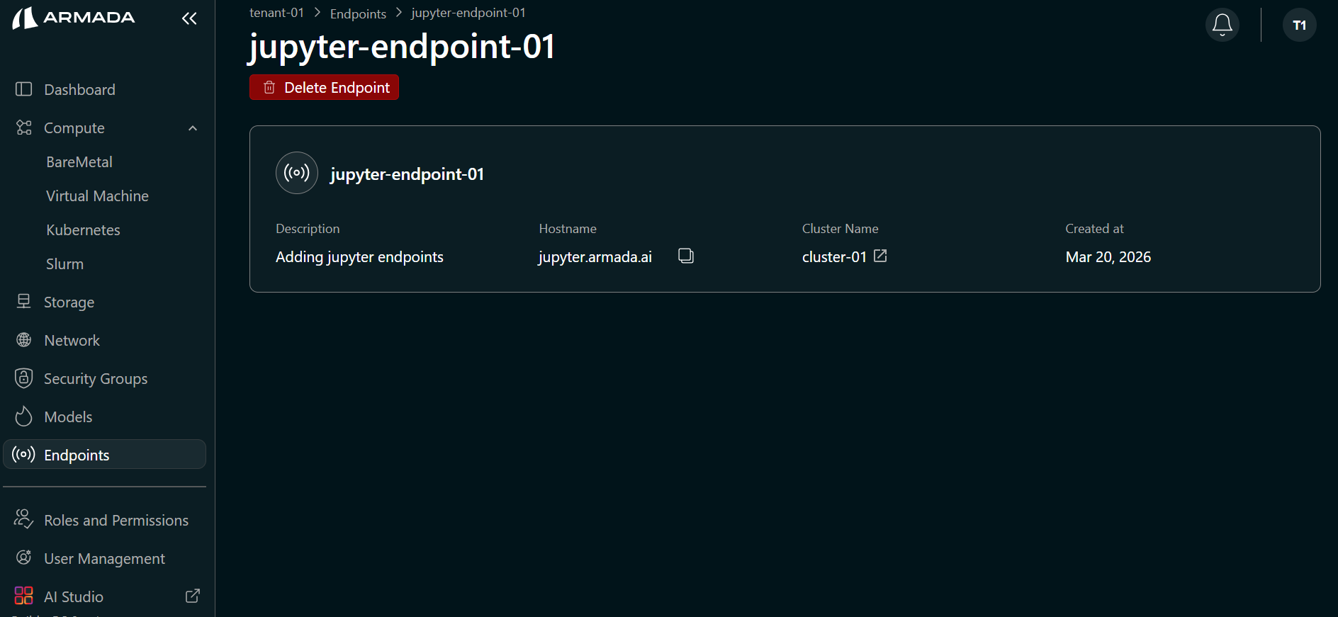 View JupyterHub Endpoint