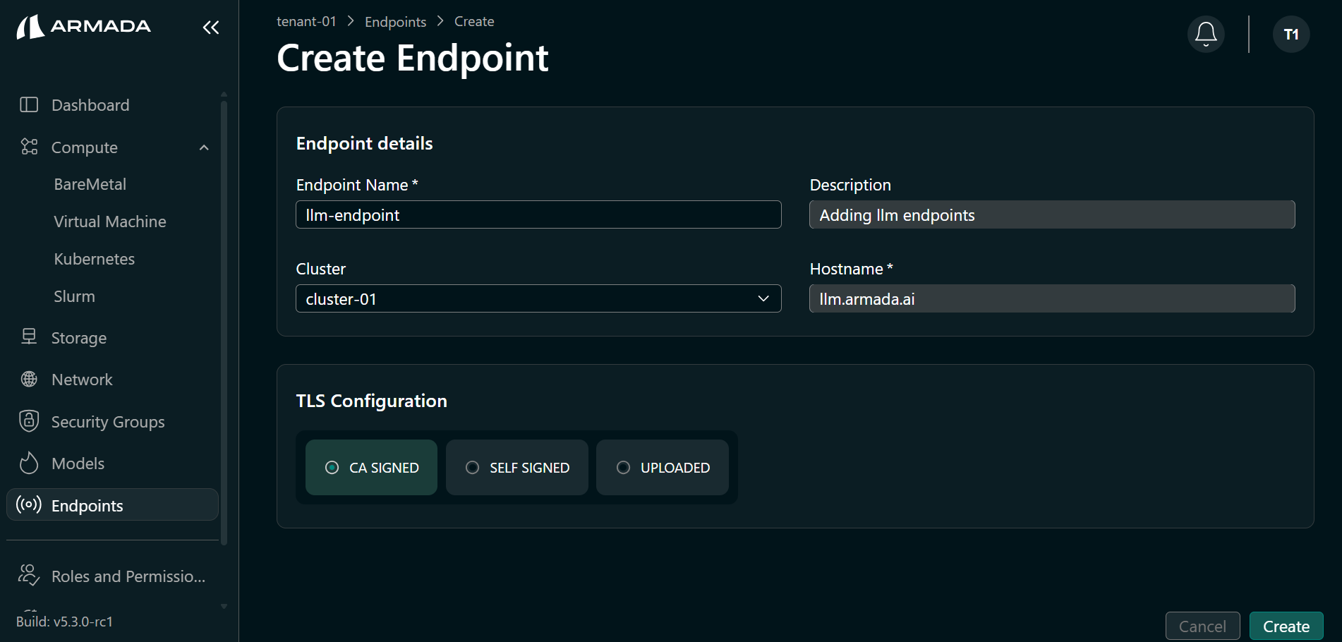 Configure New LLM Endpoint