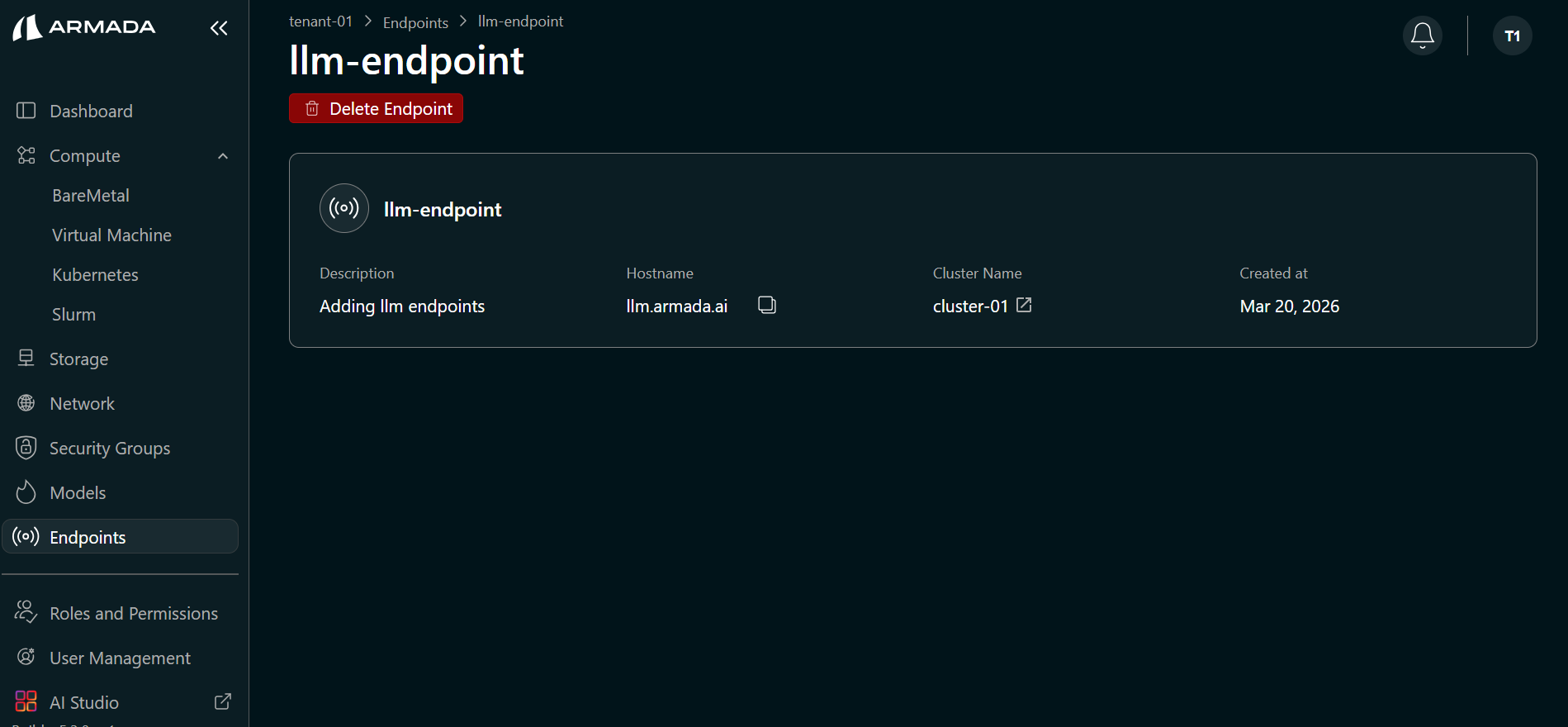 View LLM Endpoint