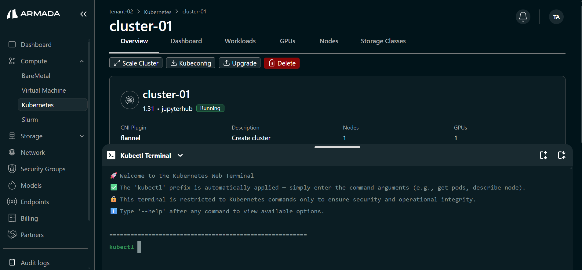Cluster K8s Terminal