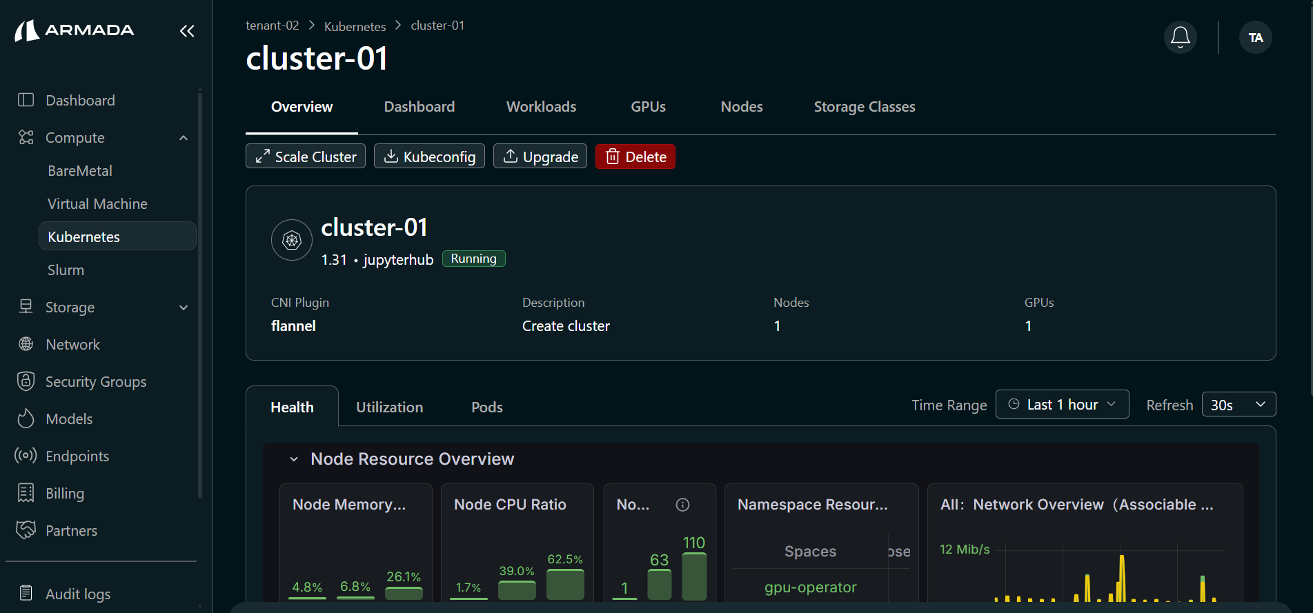 Cluster Overview