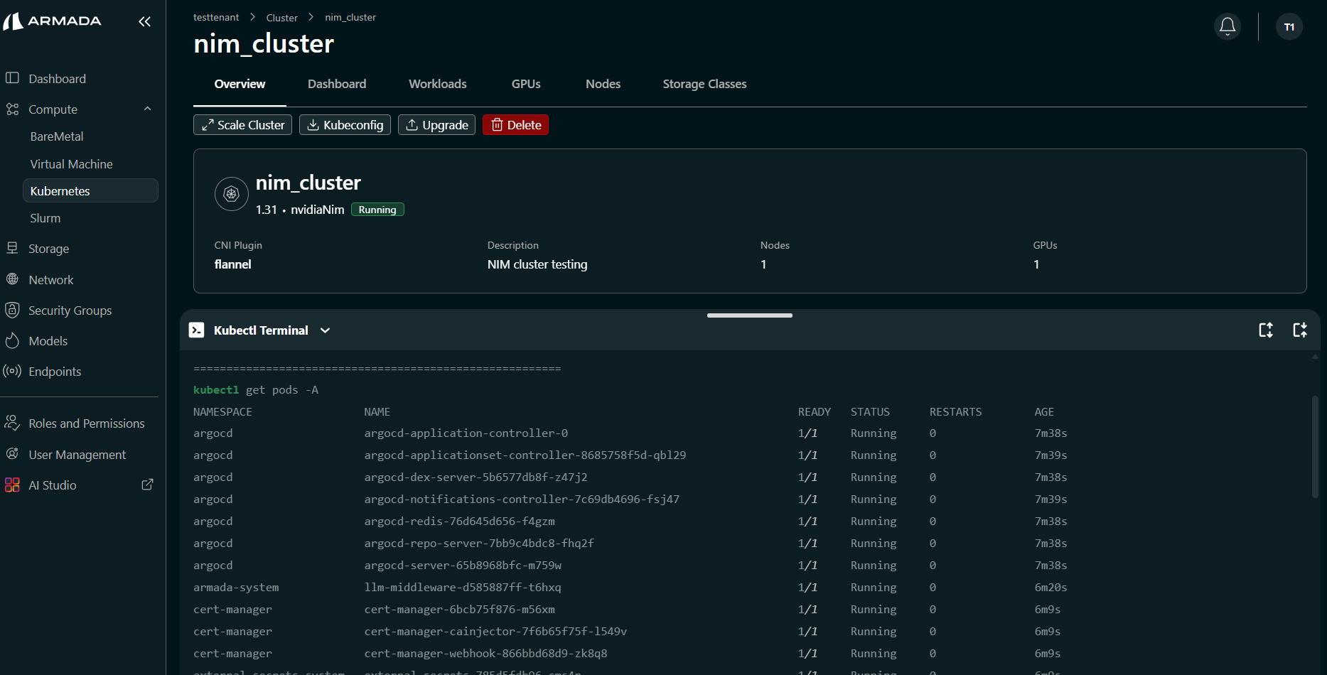 Cluster Kubectl Terminal