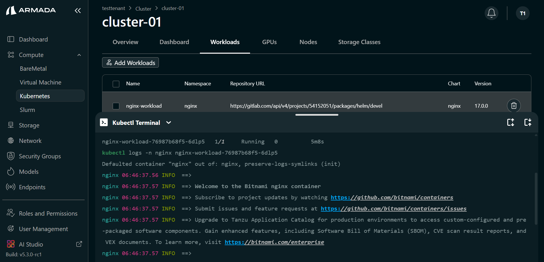 Application logs