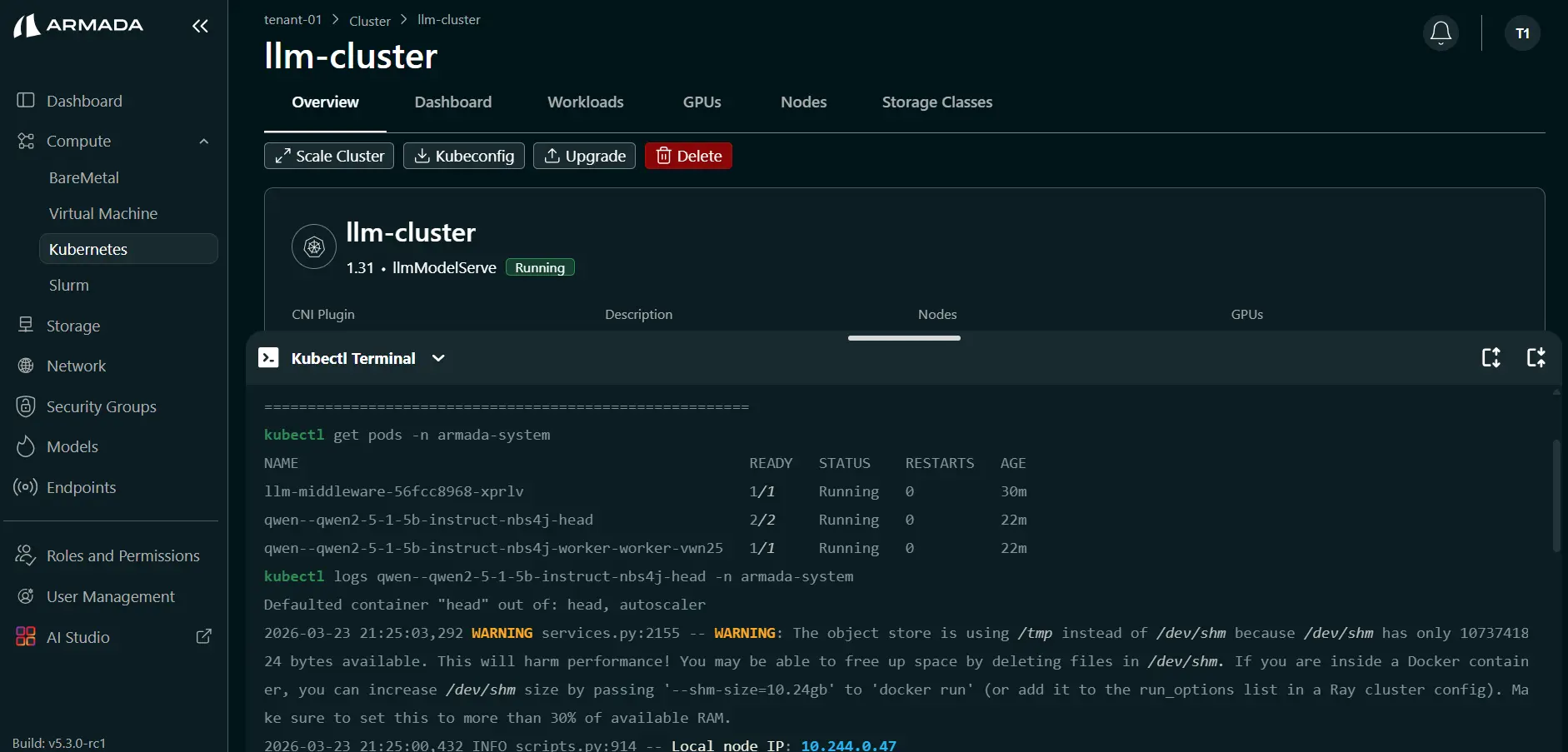 Model Logs