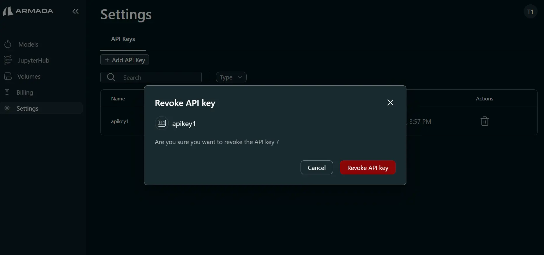Api key copy