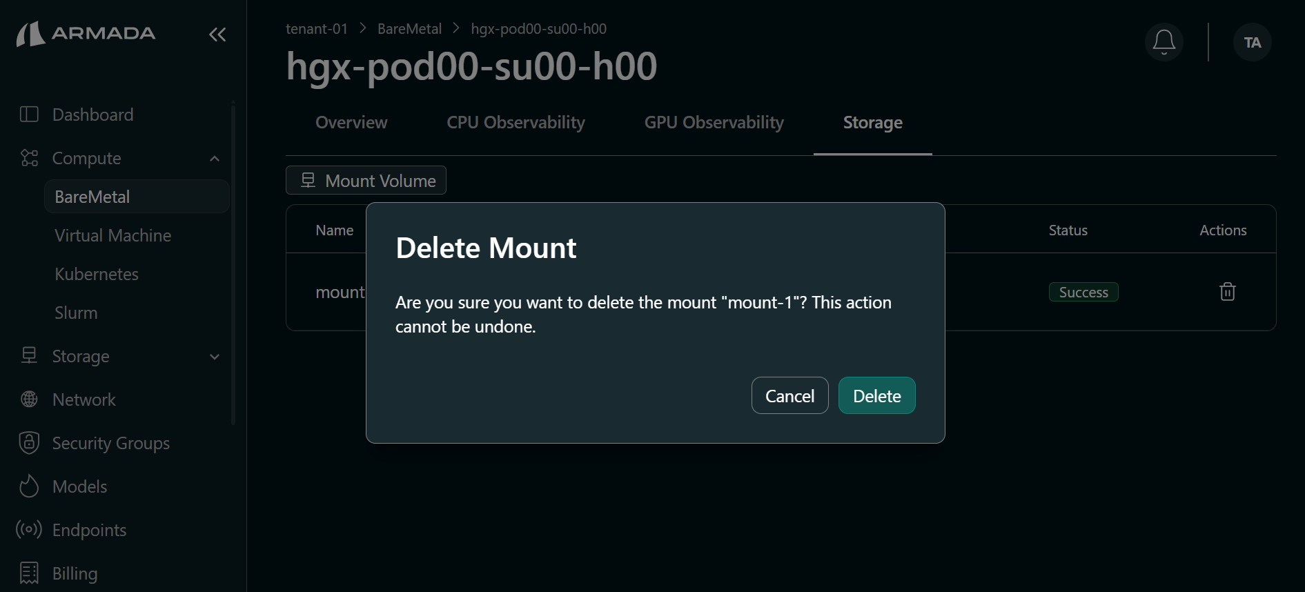 Confirm mount deletion