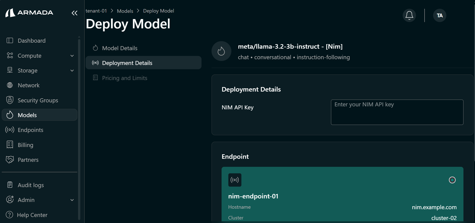 NIM Model Configuration