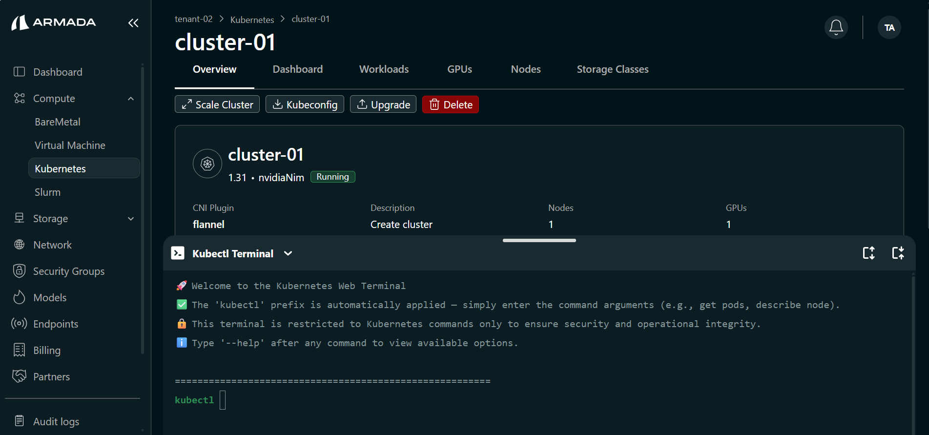 Cluster Kubectl Terminal