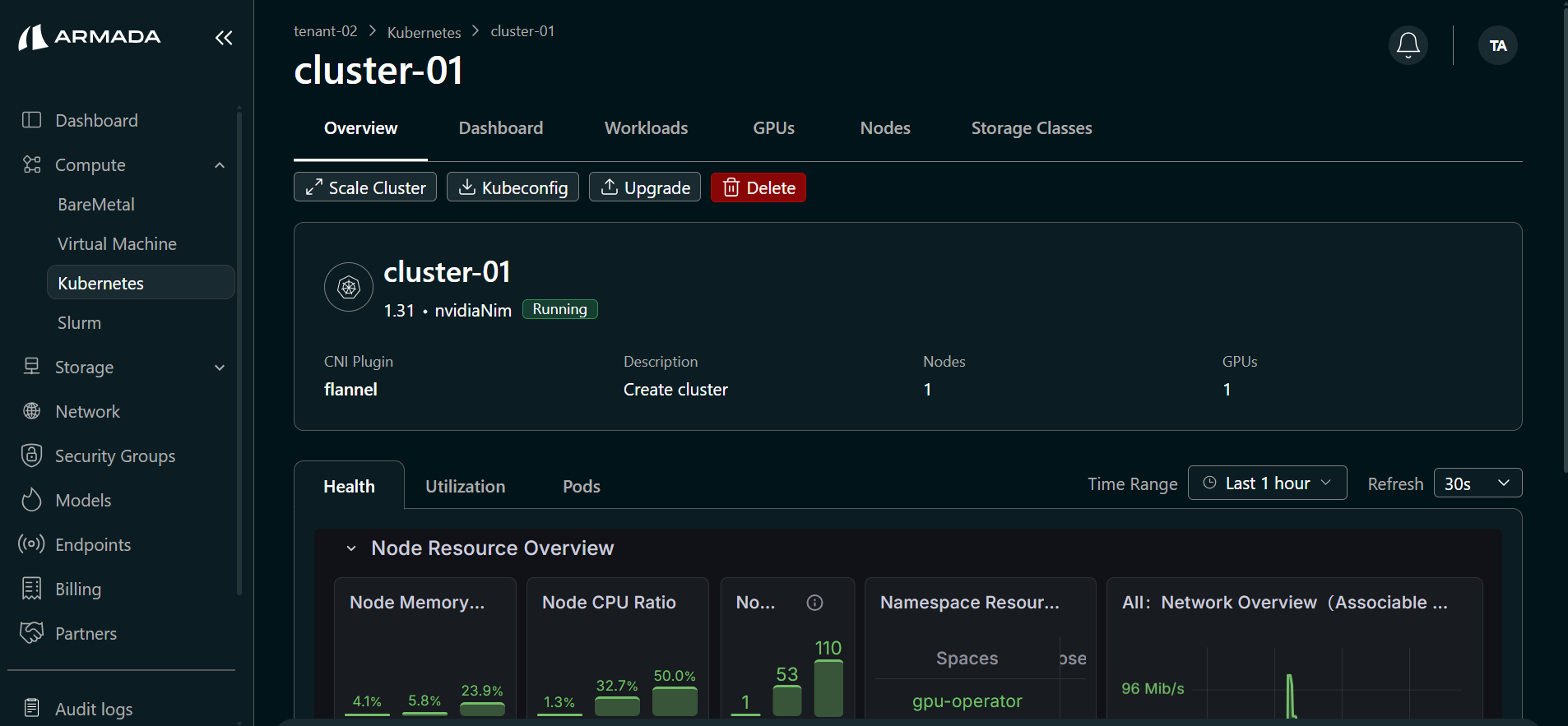 Cluster Overview